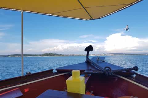 Kamenjak: Medulin Sunset Dolphin Tour