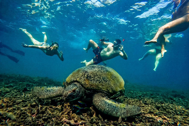 Ko Tao: Vintage Boat-Small Group Snorkeling Day Trip w/Meals