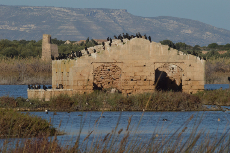 Catania: Vendicari, Marzamemi and Noto Day Trip