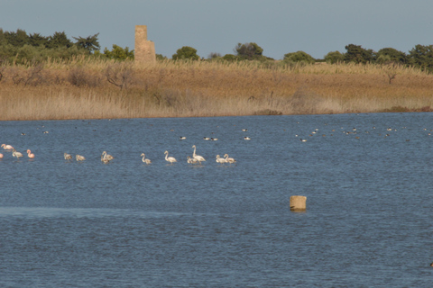Catania: Vendicari, Marzamemi and Noto Day Trip