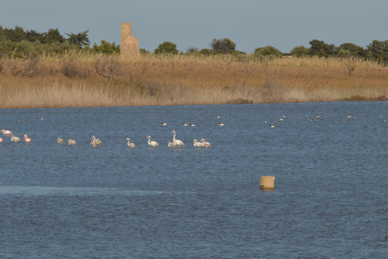Catania: Vendicari, Marzamemi and Noto Day Trip