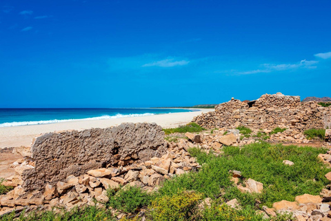 Boa Vista - całodniowa wycieczka 4x4 na wyspę z lunchem przy plaży