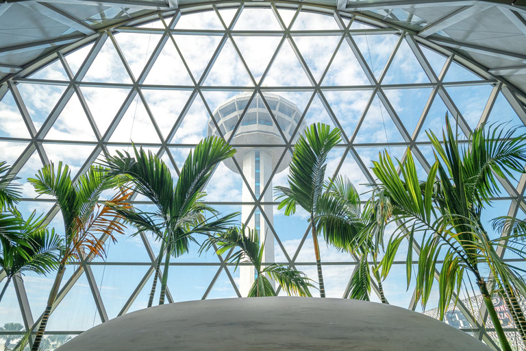 Singapore: Changi Lounge Access at Jewel Changi Airport Lite Package