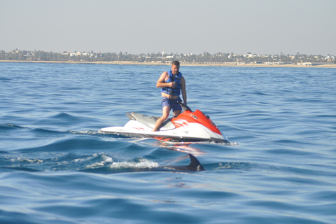 Djerba: 2-hour Dolphin Spotting Boat Trip