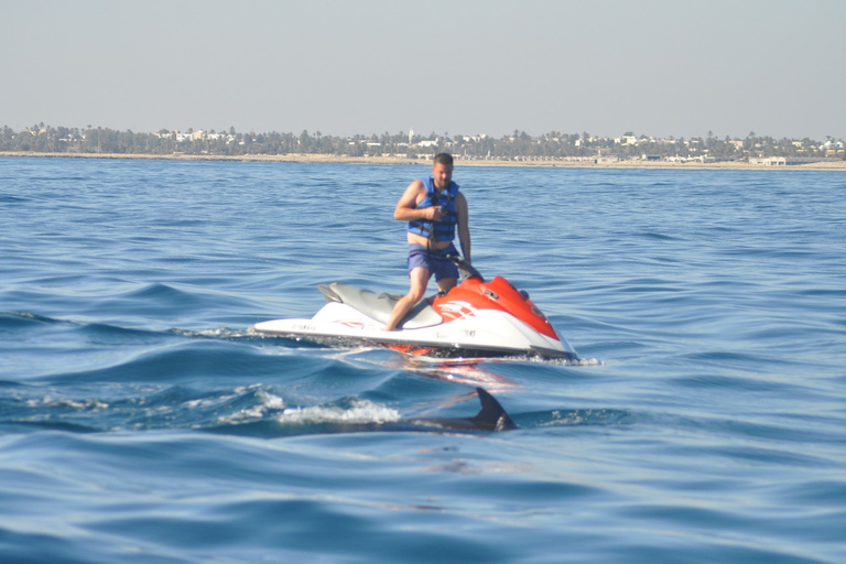 Djerba: 2-hour Dolphin Spotting Boat Trip