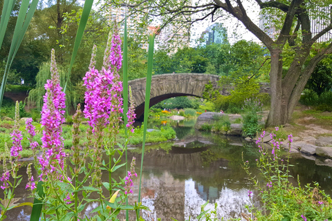 NYC: Central Park Secrets and Highlights Walking Tour