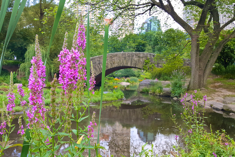 New York: tour a piedi dei segreti e dei momenti salienti di Central Park