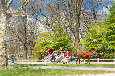 New York: visite à pied des secrets et des points forts de Central Park