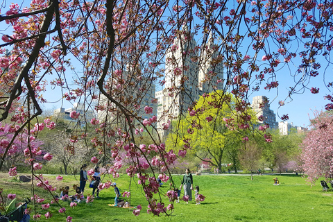 New York: visite à pied des secrets et des points forts de Central Park