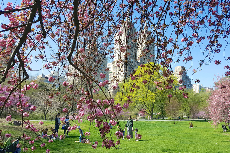 New York: visite à pied des secrets et des points forts de Central Park