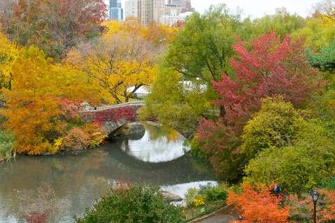 NYC: Central Park Secrets and Highlights Walking Tour