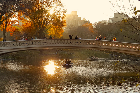 Nueva York: recorrido a pie por los secretos y lugares destacados de Central Park