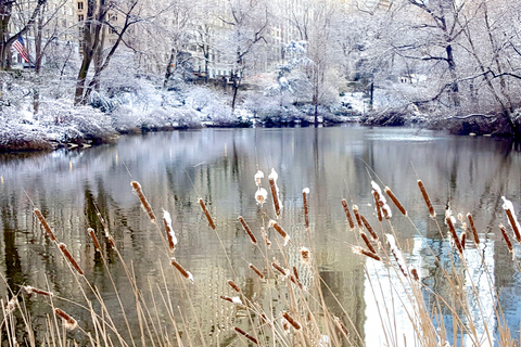 New York: tour a piedi dei segreti e dei momenti salienti di Central Park