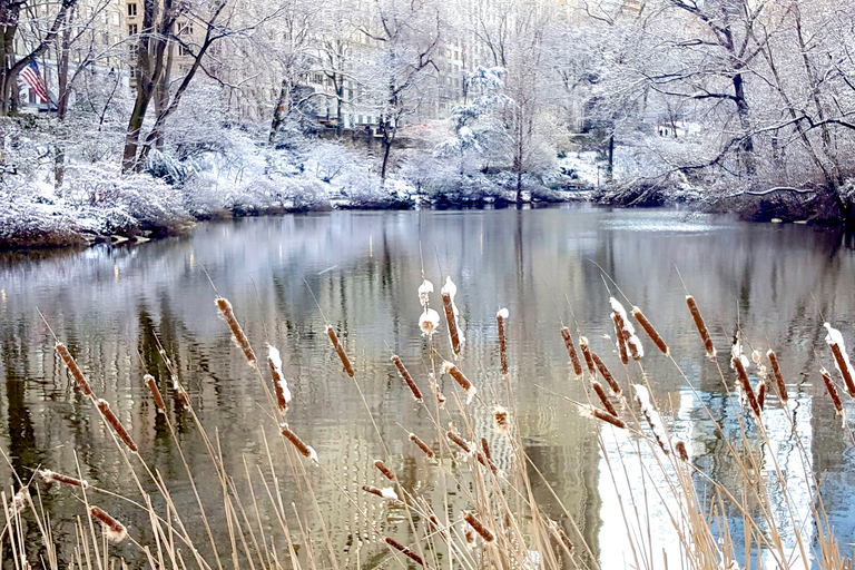 NYC: Central Park Secrets and Highlights Walking Tour