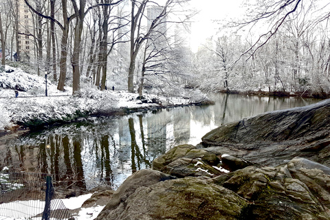 NYC: Central Park Secrets and Highlights Walking Tour