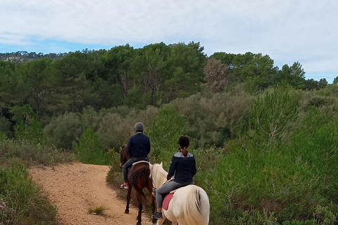 Mallorca: Randa Romántico Paseo a Caballo al Atardecer con Copas