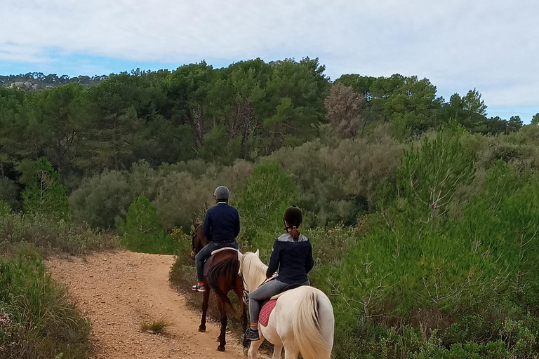 Mallorca: Randa Romántico Paseo a Caballo al Atardecer con Copas