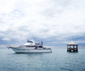 Sorrento,Mornington Peninsula: Wildlife & Sightseeing Cruise