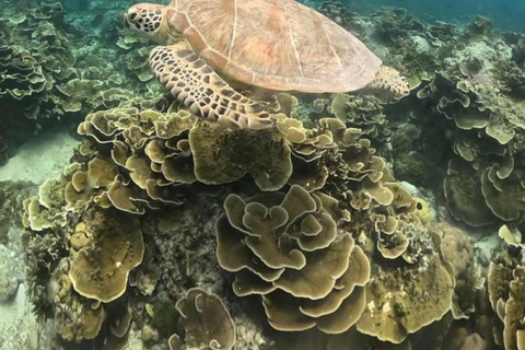 Gili island: 3 island tour with statue and turtle sanctuary sharing tour 9;30