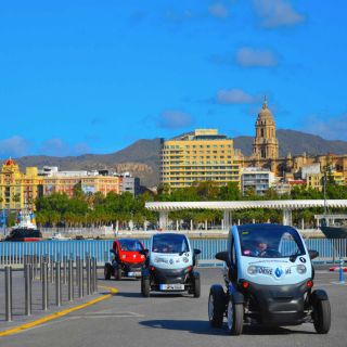 Malaga: leer Malaga kennen in 2 uur per elektrische auto