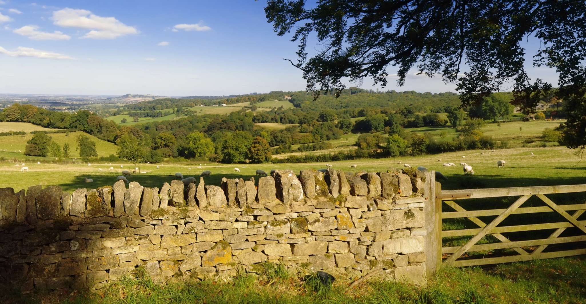 From London, Full-Day Cotswolds Small-Group Tour - Housity