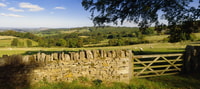 From London, Full-Day Cotswolds Small-Group Tour - Housity