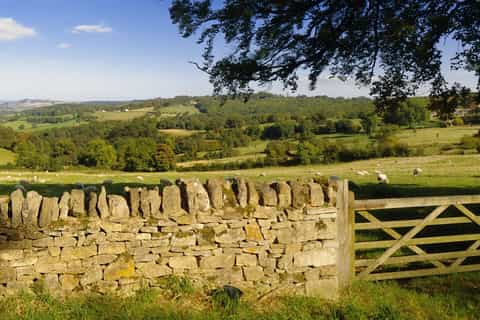 From London: Full-Day Cotswolds Small-Group Tour