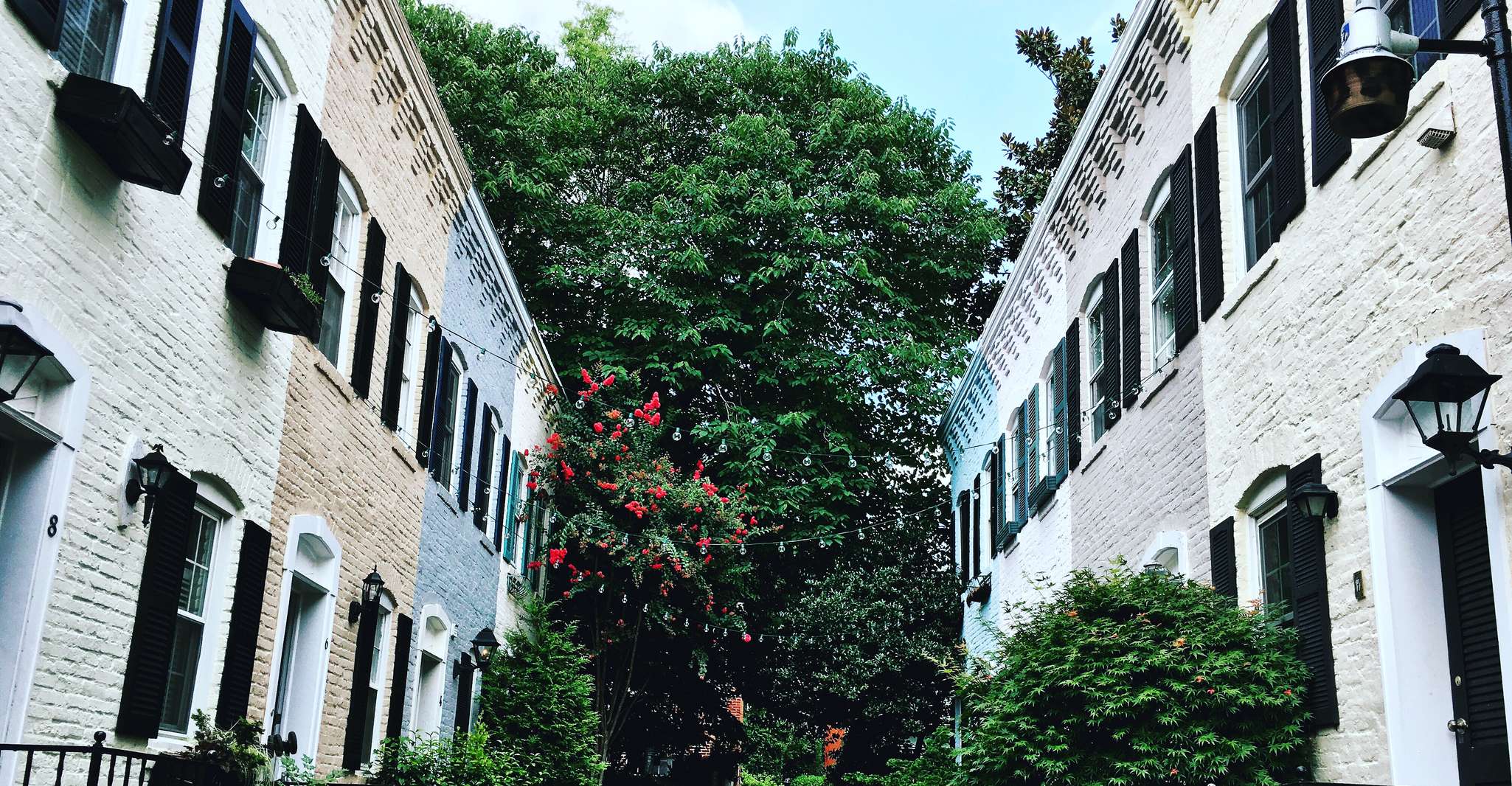 Washington, DC, Georgetown Architecture Walking Tour - Housity