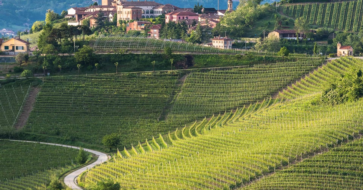 Barbaresco: Guided Hills Hike with Wine Tasting | GetYourGuide