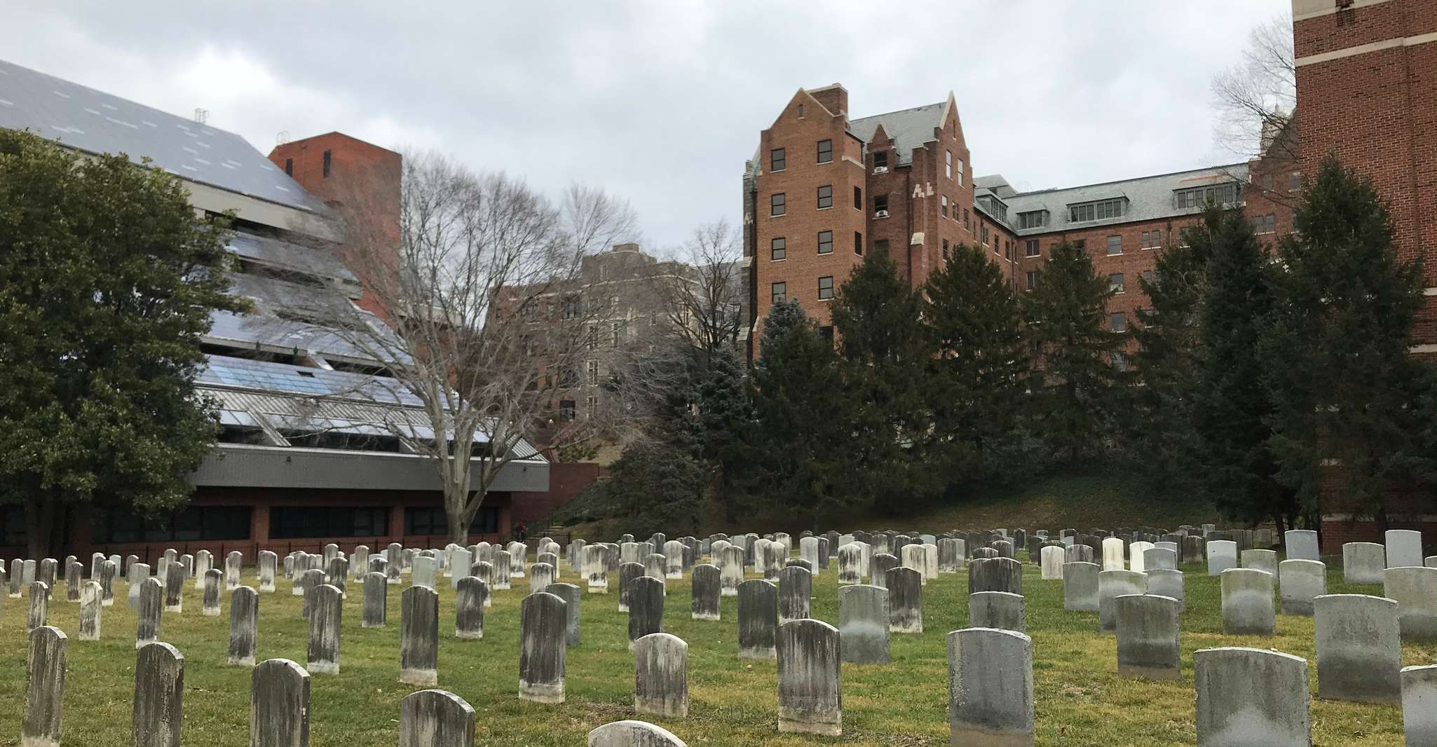 Washington, DC, Georgetown Architecture Walking Tour - Housity