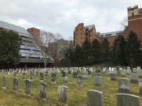 Washington, DC, Georgetown Architecture Walking Tour - Housity