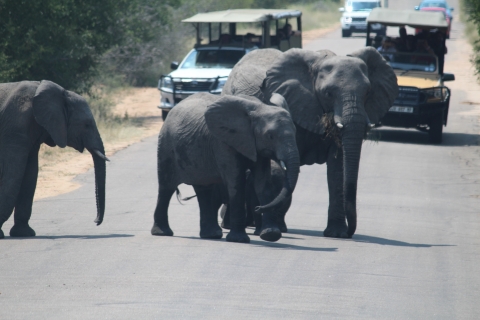 3 Tage 2 Nächte Panorama Tour & Kruger National Park SafariHotel Option