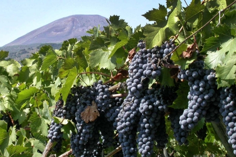 Nápoles: visita guiada a Pompeya y cata de vinos en el monte VesubioTour en ingles