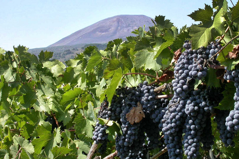 Nápoles: visita guiada a Pompeya y cata de vinos en el monte VesubioTour en ingles