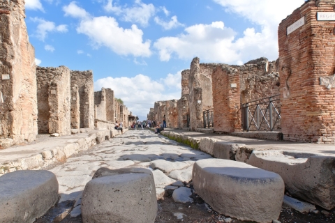 Napels: rondleiding door Pompeii en wijnproeverij op de VesuviusRondleiding in het Engels