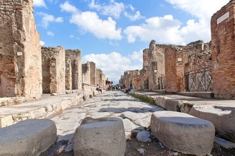 Naples: Pompeii Guided Tour & Wine Tasting at Mt. Vesuvius Tour in Italian