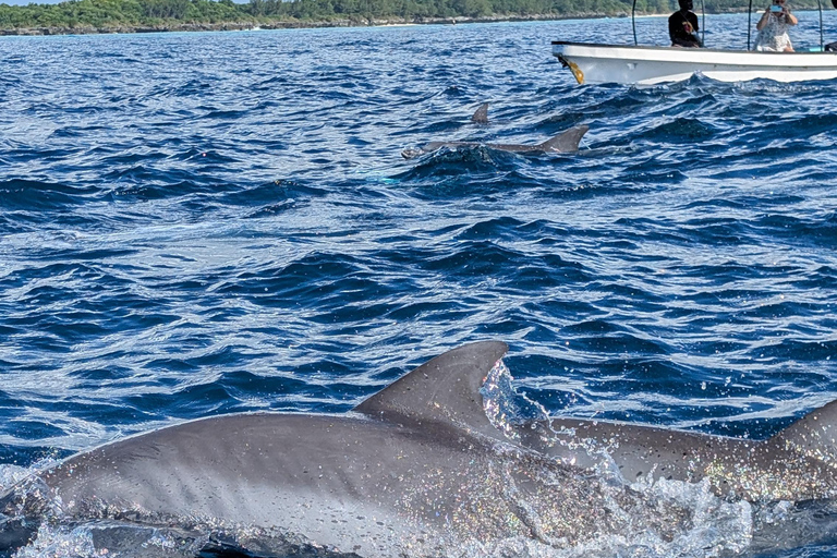 ZANZIBAR: Mnemba Dolphin & Salaam Cave+Pick up & Entry Fee. Private Tour with Hotel Pick up and Drop off & Lunch