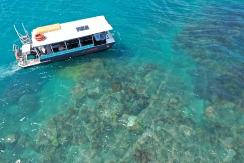 Airlie Beach: Glass-Bottom Boat Tour