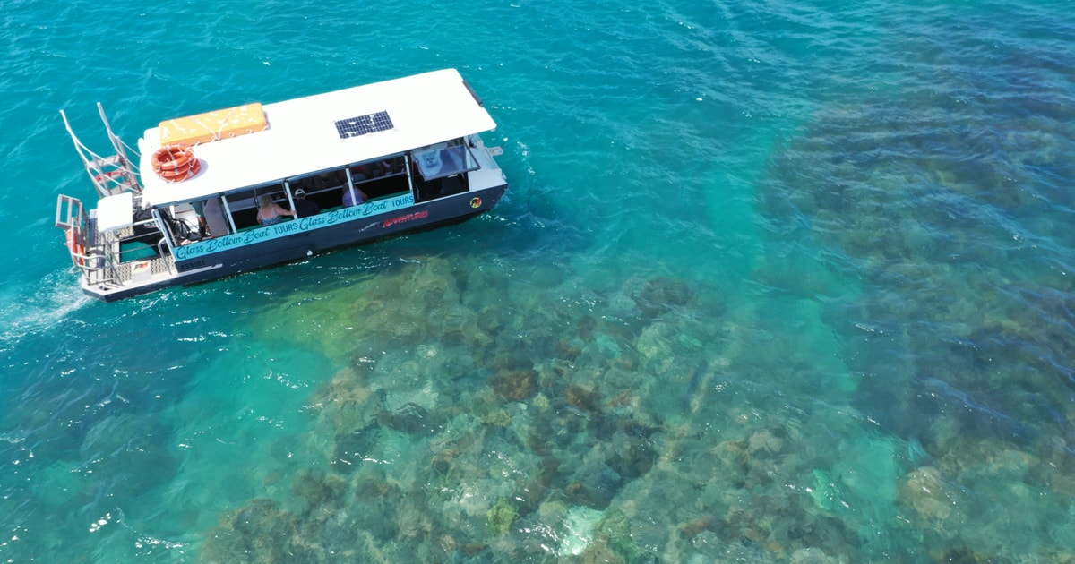 Airlie Beach: Glass-Bottom Boat Tour | GetYourGuide