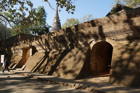 Chiang Mai:Wat Phra That Doi Suthep & Wat Umong Evening Tour Chiang Mai: Wats Phra That Doi Suthep & Umong Evening Tour