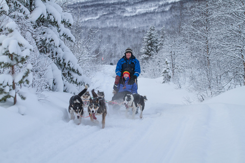 From Tromsø: Advanced Dog Sledding Tour at Camp Tamok Advanced Dog Sledding Tour: Midday Departure