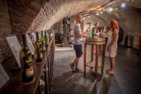 Bratislava: Dégustation de vins avec sommelierDégustation : 7 Vins - Sans Sommelier