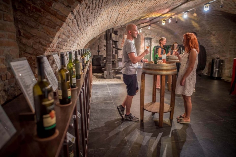 Bratislava: Dégustation de vins avec sommelierDégustation : 3 échantillons