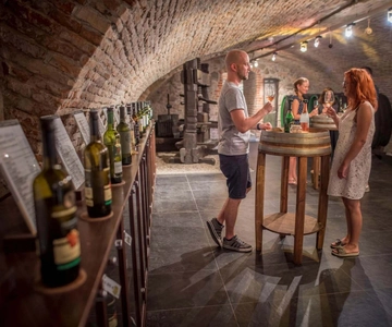Bratislava: Cata de vinos con sumiller