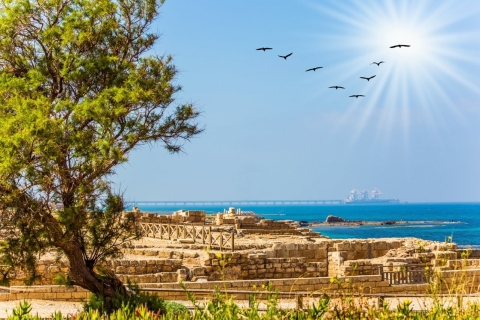 Von Tel Aviv: Tour nach Caesarea, Haifa, Acre & Rosh HanikraTour auf Spanisch