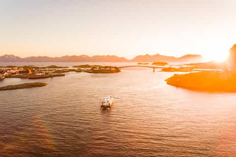 Lofoten: Reinefjord Evening Cruise