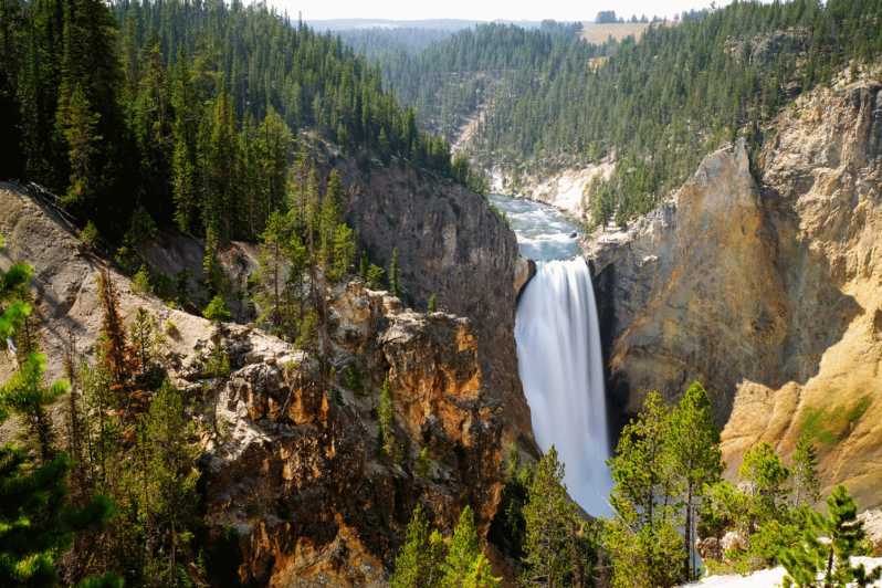 guided tours yellowstone national park