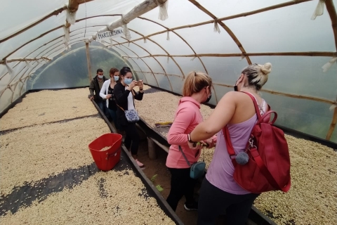 Z Medellin: Prywatna wycieczka po kawiarni Envigado z degustacją