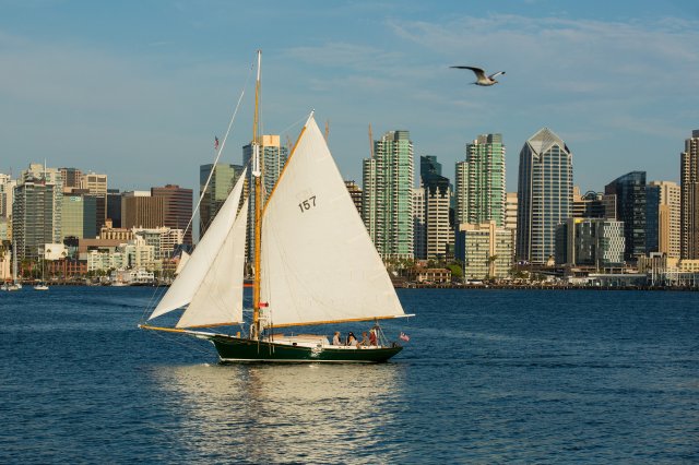 San Diego: Klassisches Yacht-Segelerlebnis