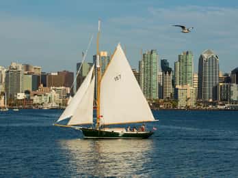 San Diego: Tagessegeln an Bord einer klassischen Yacht San Diego: Tagessegeln an Bord einer klassischen Yacht